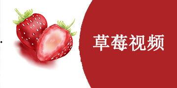 草莓视频国产永久,国产短视频平台的崛起与魅力