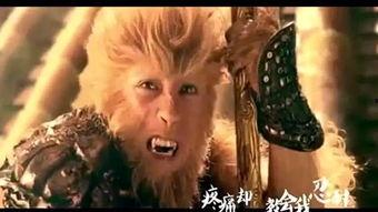 国产女王骑驴视频大全,盘点那些令人捧腹的骑驴视频