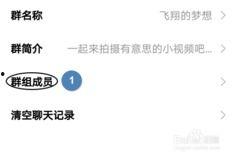 国产小视频群聊,揭秘短视频社交新潮流