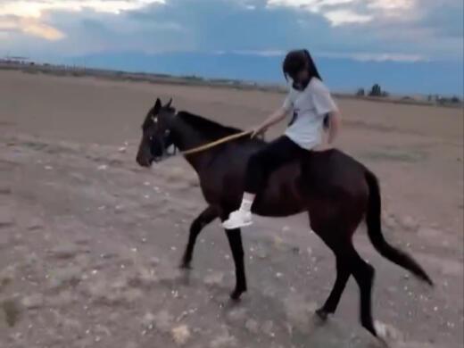 国产美女骑马视频播放,视频播放引网友热议