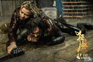 国产黑兽视频在线观看,揭秘神秘生物，探索未知世界