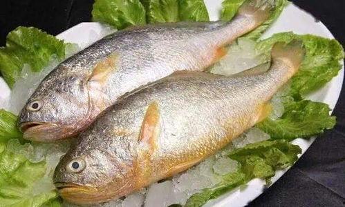 黄鱼视频国产18,国产18岁青春题材的视听盛宴